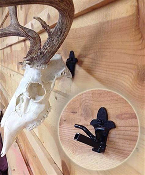 metal european skull mount bracket|european skull mounts for deer.